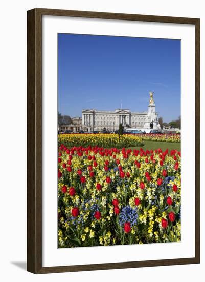 Buckingham Palace and Queen Victoria Monument with Tulips, London, England, United Kingdom, Europe-Stuart Black-Framed Photographic Print