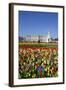 Buckingham Palace and Queen Victoria Monument with Tulips, London, England, United Kingdom, Europe-Stuart Black-Framed Photographic Print