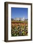 Buckingham Palace and Queen Victoria Monument with Tulips, London, England, United Kingdom, Europe-Stuart Black-Framed Photographic Print