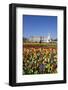 Buckingham Palace and Queen Victoria Monument with Tulips, London, England, United Kingdom, Europe-Stuart Black-Framed Photographic Print