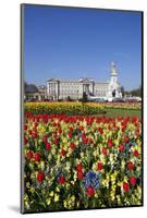 Buckingham Palace and Queen Victoria Monument with Tulips, London, England, United Kingdom, Europe-Stuart Black-Mounted Photographic Print