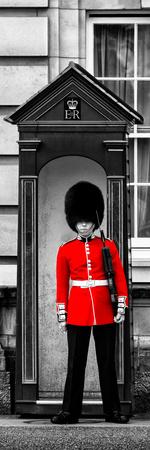 https://imgc.allpostersimages.com/img/posters/buckingham-palace-guard-london-uk-england-united-kingdom-europe-door-poster_u-L-PZ3U7J0.jpg?artPerspective=n