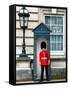 Buckingham Palace Guard - London - UK - England - United Kingdom - Europe-Philippe Hugonnard-Framed Stretched Canvas