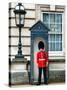 Buckingham Palace Guard - London - UK - England - United Kingdom - Europe-Philippe Hugonnard-Stretched Canvas