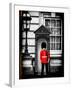 Buckingham Palace Guard - London - UK - England - United Kingdom - Europe-Philippe Hugonnard-Framed Photographic Print