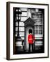 Buckingham Palace Guard - London - UK - England - United Kingdom - Europe-Philippe Hugonnard-Framed Photographic Print