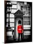 Buckingham Palace Guard - London - UK - England - United Kingdom - Europe-Philippe Hugonnard-Mounted Photographic Print