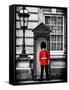 Buckingham Palace Guard - London - UK - England - United Kingdom - Europe-Philippe Hugonnard-Framed Stretched Canvas