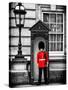 Buckingham Palace Guard - London - UK - England - United Kingdom - Europe-Philippe Hugonnard-Stretched Canvas