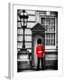 Buckingham Palace Guard - London - UK - England - United Kingdom - Europe-Philippe Hugonnard-Framed Photographic Print