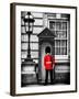 Buckingham Palace Guard - London - UK - England - United Kingdom - Europe-Philippe Hugonnard-Framed Photographic Print