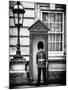 Buckingham Palace Guard - London - UK - England - United Kingdom - Europe-Philippe Hugonnard-Mounted Photographic Print