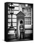 Buckingham Palace Guard - London - UK - England - United Kingdom - Europe-Philippe Hugonnard-Framed Stretched Canvas