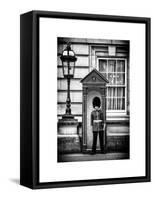 Buckingham Palace Guard - London - UK - England - United Kingdom - Europe-Philippe Hugonnard-Framed Stretched Canvas