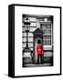 Buckingham Palace Guard - London - UK - England - United Kingdom - Europe-Philippe Hugonnard-Framed Stretched Canvas