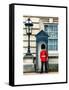 Buckingham Palace Guard - London - UK - England - United Kingdom - Europe-Philippe Hugonnard-Framed Stretched Canvas