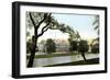 Buckingham Palace, London, 20th Century-null-Framed Giclee Print