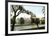 Buckingham Palace, London, 20th Century-null-Framed Giclee Print