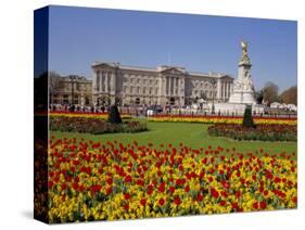 Buckingham Palace, London, England, UK-Charles Bowman-Stretched Canvas