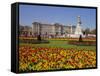 Buckingham Palace, London, England, UK-Charles Bowman-Framed Stretched Canvas