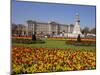 Buckingham Palace, London, England, UK-Charles Bowman-Mounted Photographic Print