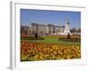 Buckingham Palace, London, England, UK-Charles Bowman-Framed Photographic Print