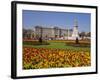 Buckingham Palace, London, England, UK-Charles Bowman-Framed Photographic Print