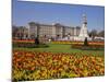 Buckingham Palace, London, England, UK-Charles Bowman-Mounted Photographic Print