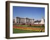 Buckingham Palace, London, England, United Kingdom-Charles Bowman-Framed Photographic Print