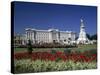 Buckingham Palace, London, England-Alan Copson-Stretched Canvas