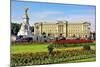Buckingham Palace with Memorial for Queen Victoria, London, South of England-null-Mounted Art Print