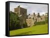 Buckland Abbey-Bob Krist-Framed Stretched Canvas