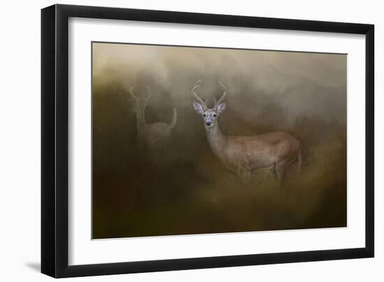 Bucks in August-Jai Johnson-Framed Giclee Print