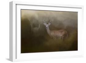 Bucks in August-Jai Johnson-Framed Giclee Print