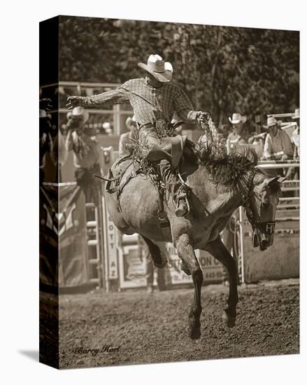 Buckskin Bucker-Barry Hart-Stretched Canvas