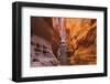 Buckskin Gulch V-Alan Majchrowicz-Framed Photographic Print