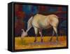 Buckskin I-Marion Rose-Framed Stretched Canvas