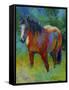 Buckskin II-Marion Rose-Framed Stretched Canvas