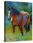 Buckskin II-Marion Rose-Stretched Canvas