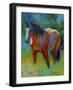 Buckskin II-Marion Rose-Framed Giclee Print