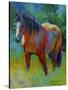 Buckskin II-Marion Rose-Stretched Canvas