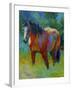 Buckskin II-Marion Rose-Framed Premium Giclee Print