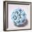 Buckyball-null-Framed Photographic Print