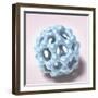 Buckyball-null-Framed Photographic Print