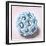 Buckyball-null-Framed Photographic Print