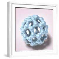 Buckyball-null-Framed Photographic Print