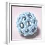 Buckyball-null-Framed Photographic Print