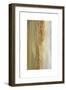 Bucolic I-Sharon Gordon-Framed Premium Giclee Print