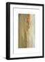 Bucolic I-Sharon Gordon-Framed Premium Giclee Print