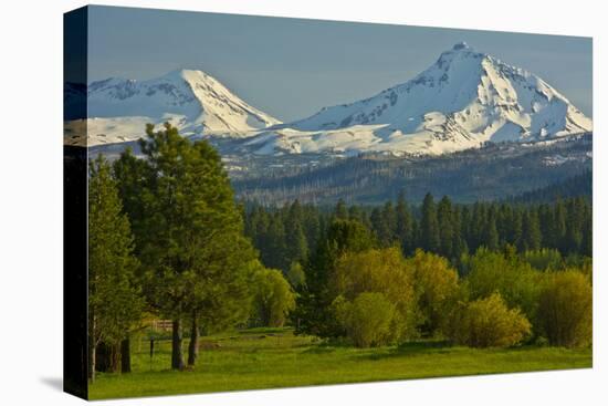 Bucolic Landscape, Black Butte Ranch, Sisters, Oregon, Usa-Michel Hersen-Stretched Canvas